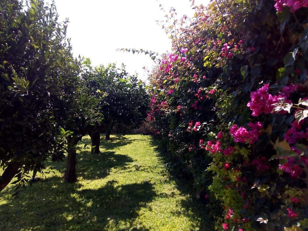 Baglio Olivastro Bed & Breakfast Digerbato Exterior photo